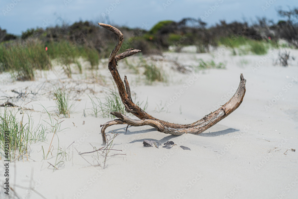 Fototapeta premium Ocean Isle Beach