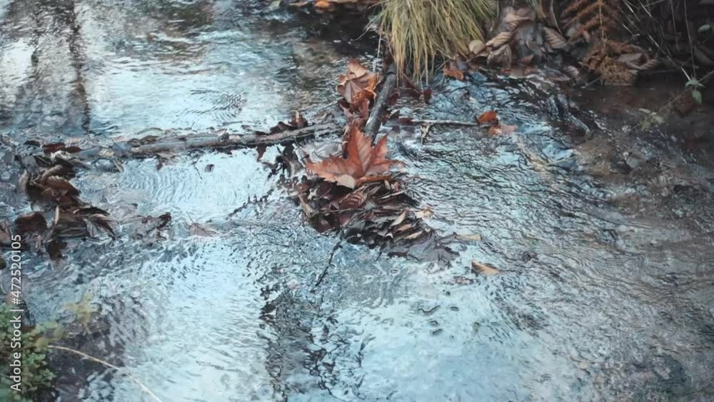 slow motion stream in woods in autumn with leaves slow motion stream in woods in autumn with leaves
