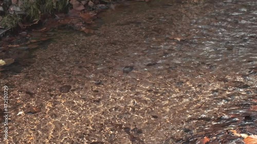 Wallpaper Mural slow motion of water steam in mountain, autumn leaves Torontodigital.ca