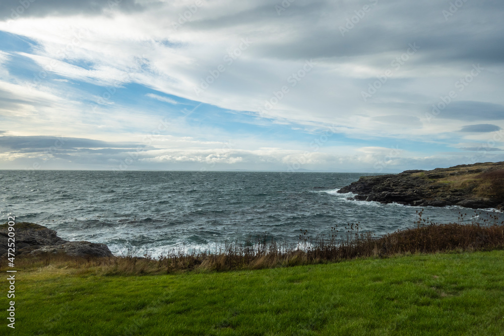 Gorgeous view of the grassy coastline on San Juan Island on a bright, sunny day with puffy white clouds Gorgeous view of the grassy coastline on San Juan Island on a bright, sunny day with puffy white clouds