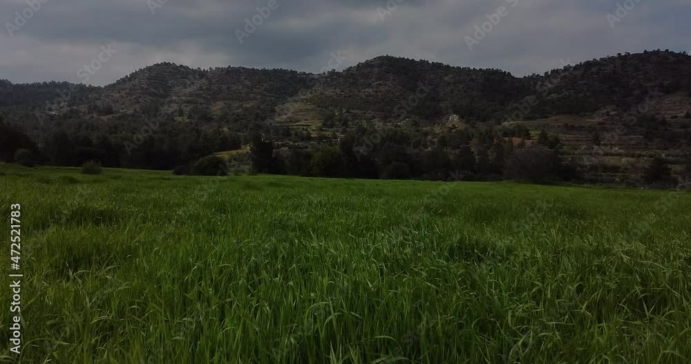 Aerial shot of green farm fields landscapes mountain range. Cloudy sky. sunset sunlight. Olive tree fields. Green grass landscape field Aerial shot of green farm fields landscapes mountain range. Cloudy sky. sunset sunlight. Olive tree fields. Green grass landscape field
