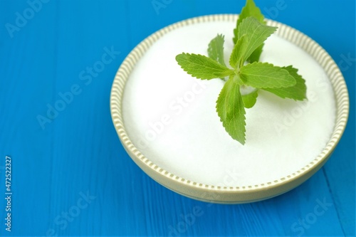 Stevia rebaudiana.Stevia green twig close-up into stevia powder in a cup on bright blue background.Organic natural sweetener.Stevia plants. photo