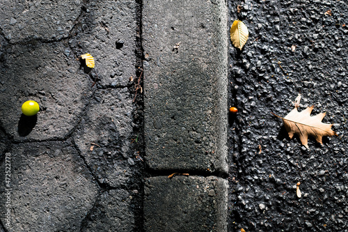 Textured Curb with Leaf and Tree Nut