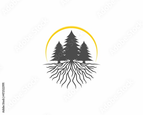 Pine tree with roots silhouette illustration