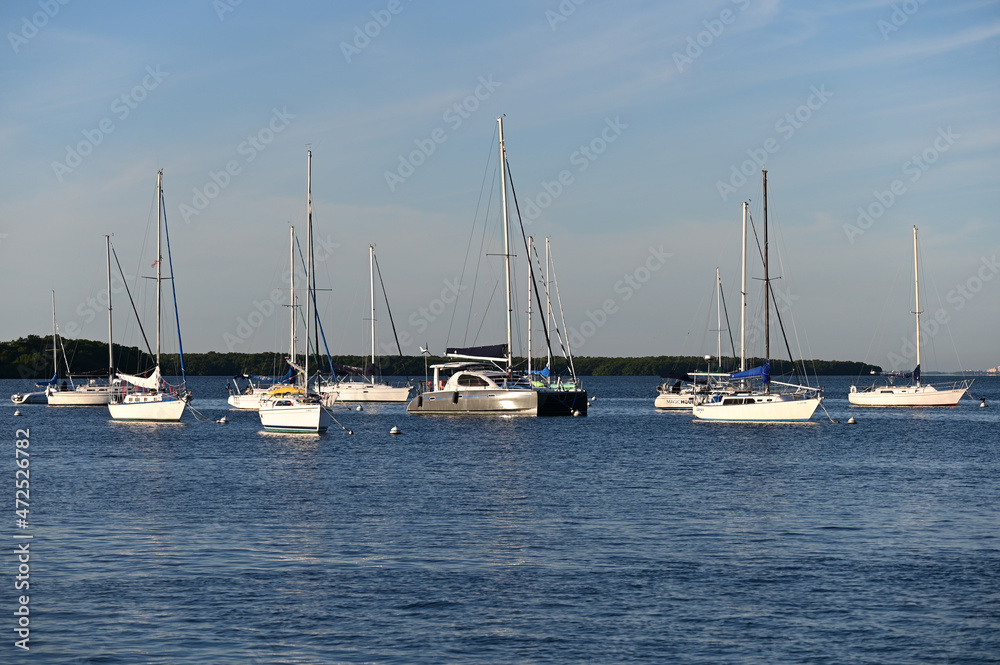 Sailboats at anchor off Crandon Park and marina on sunny autumn morning.