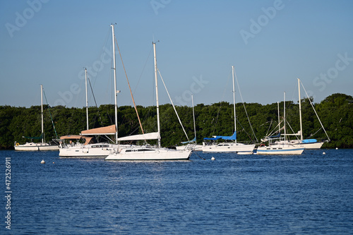 Sailboats at anchor off Crandon Park and marina on sunny autumn morning.