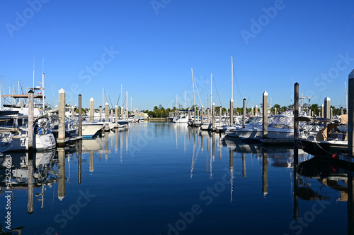 Boats docked in marina in Key Biscayne, Florida in early morning light on clear autumn day. © Francisco