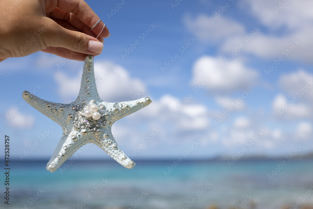 Female hand holding a decorative shiny starfish with pearls on the background of the seascape. Female hand holding a decorative shiny starfish with pearls on the background of the seascape.