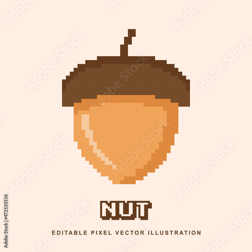 Pixel nut icon vector illustration for video game asset, motion graphic and others