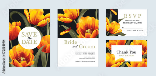 Beautiful Tulip flower background template. Vector set of floral element for wedding invitations, greeting card, envelope, voucher, brochures and banners design.