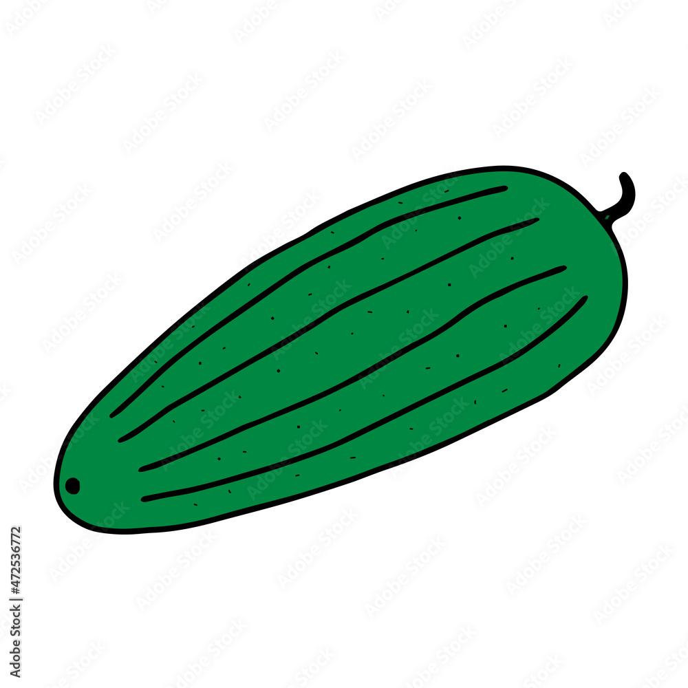 Vector outline illustration of one fresh green cucumber isolated on a white background Vector outline illustration of one fresh green cucumber isolated on a white background