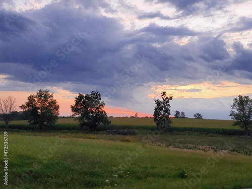 sunset in the park