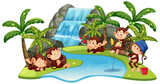 Isolated waterfall with little monkeys