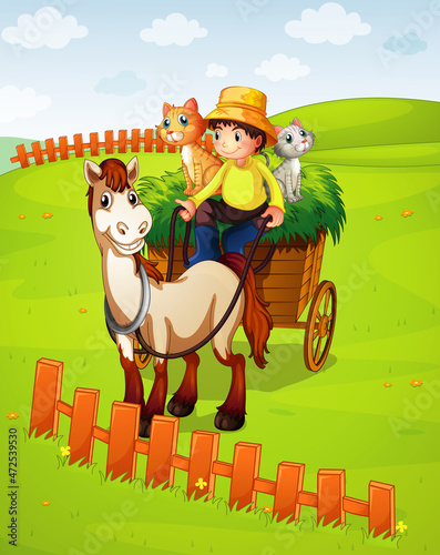 A boy riding horse cart with cats on the meadow