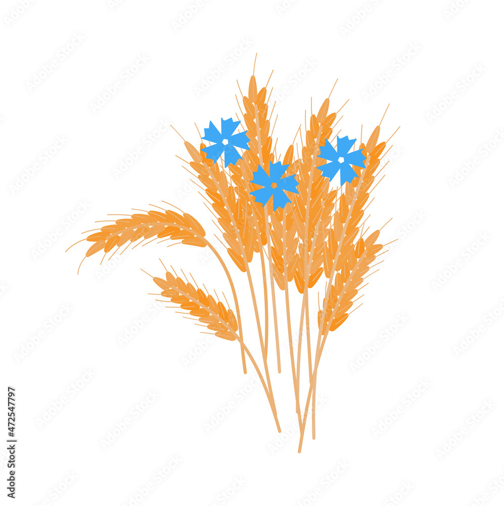 bouquet of ears of wheat and cornflowers flat vector illustration