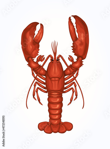 Lobster Shrimp Seafood Vector Illustration