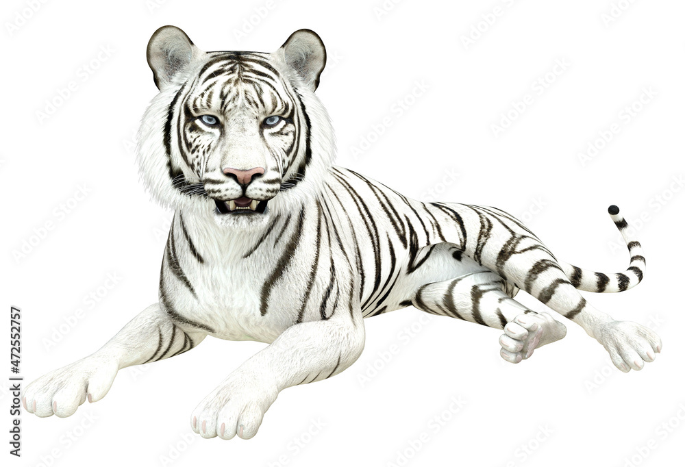 Fototapeta premium 3D White tiger