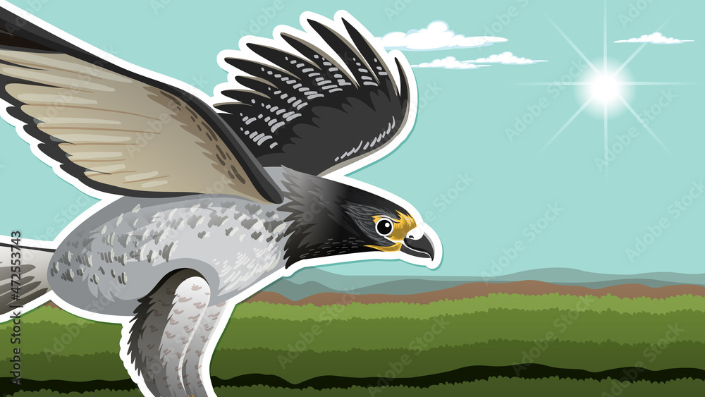 Fototapeta premium Thumbnail design with eagle on nature background