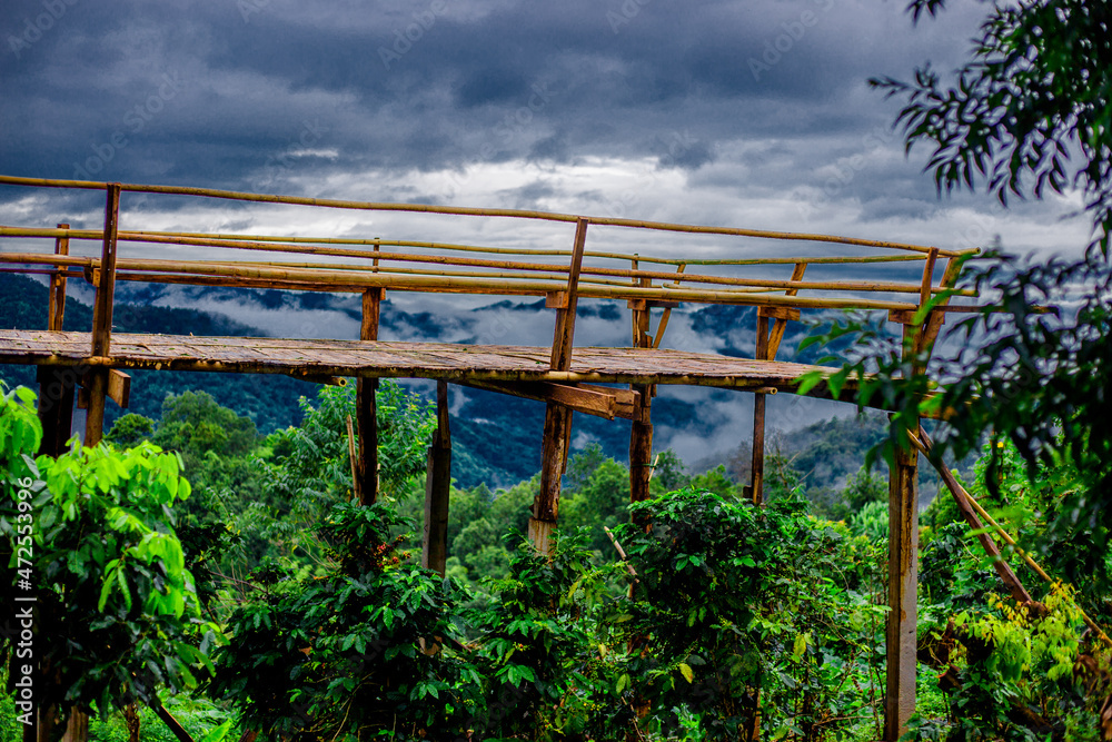 The blurry nature background of the mist that flows through the mountains in the morning, is a natural beauty, the abundance of seasonal forests. The blurry nature background of the mist that flows through the mountains in the morning, is a natural beauty, the abundance of seasonal forests.