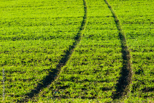 wheel prints on field