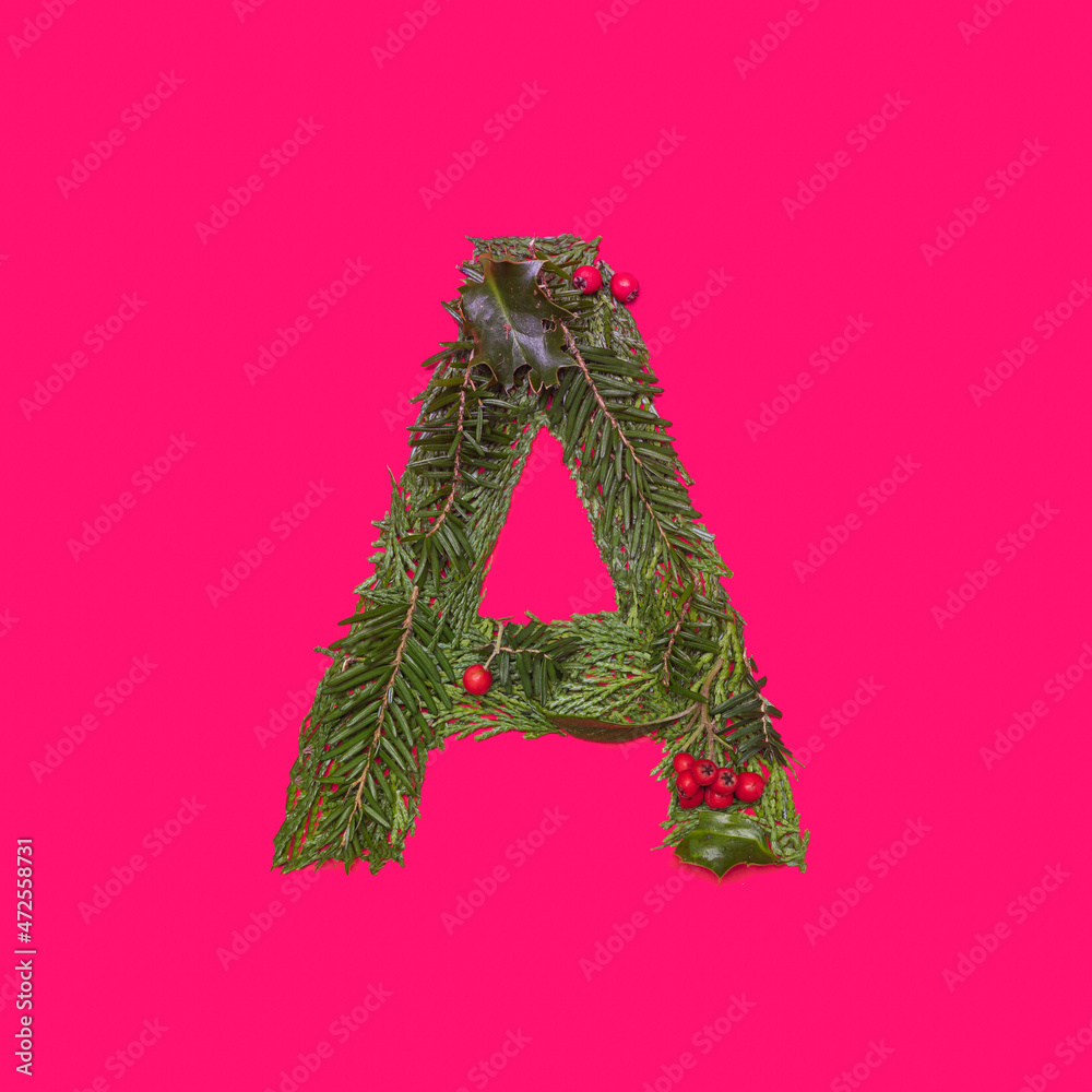 Festive, winter, Christmas season natural pine, holly branches, red berries, unique collection of letters, numbers and symbols. Letter A Festive, winter, Christmas season natural pine, holly branches, red berries, unique collection of letters, numbers and symbols. Letter A