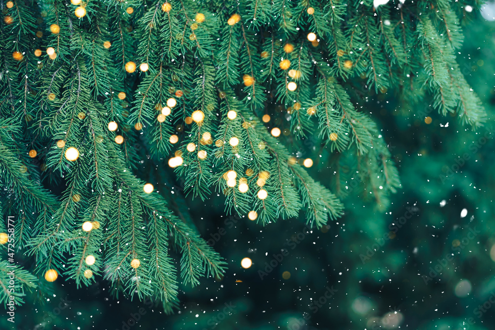 Branch of green Christmas tree on background of falling snow and new year's lights