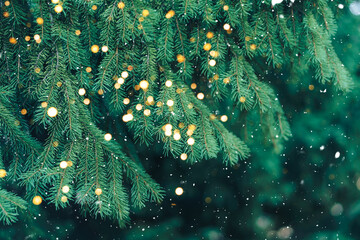 Branch of green Christmas tree on background of falling snow and new year's lights