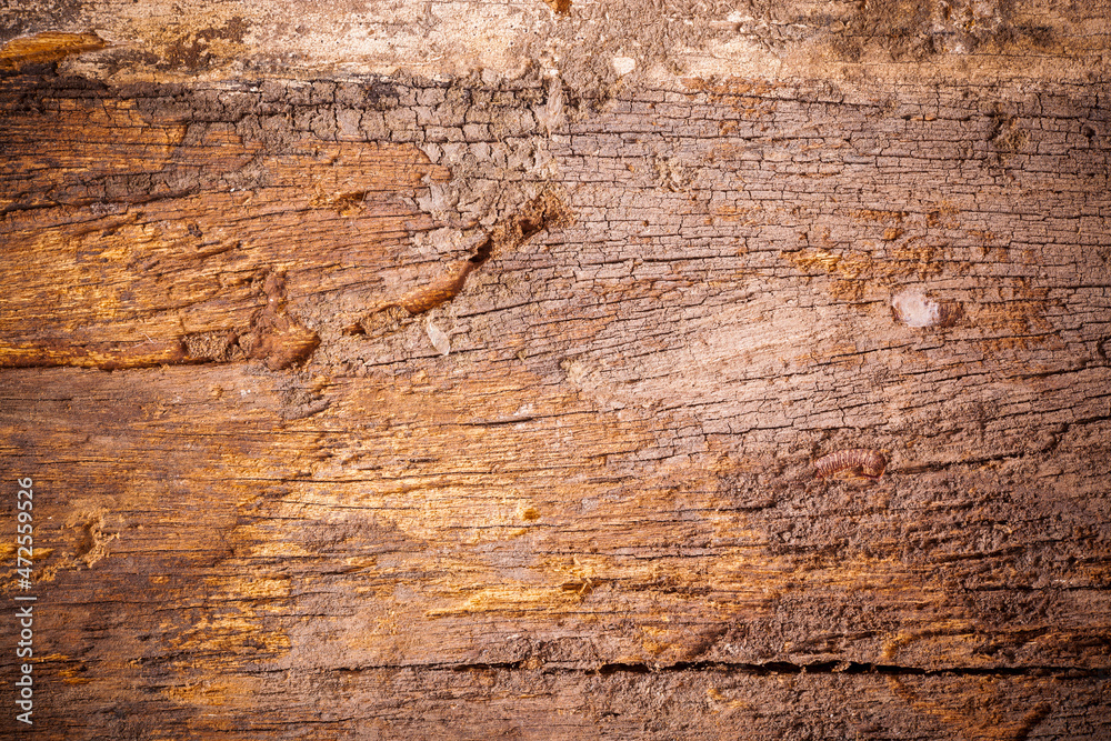 Background texture old brown wooden board. Background texture old brown wooden board.