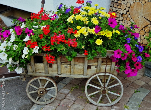 Austrian Alps - view of a cart with flowers in the town of Holzgau in the Lechtal Alps photo