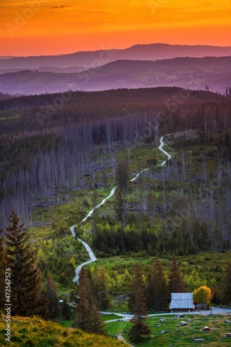 Fototapeta Naklejka Na Ścianę i Meble -  Ogólny widok na Rusinową Polanę w Tatrach bardzo znane miejsce turystyczne