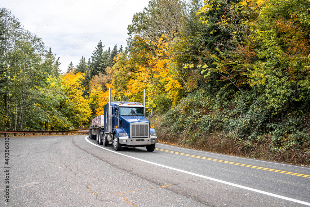 Classic dark blue big rig semi truck transporting stacked cargo on flat bed semi trailer driving on the curved road through the autumn forest.