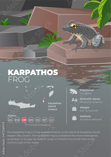 Animal Infographic Series - Karpathos Frog
