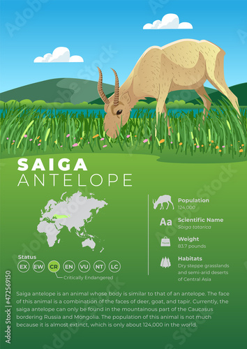 Animal Infographic Series - KakapoAnimal Infographic Series - Saiga Antelope