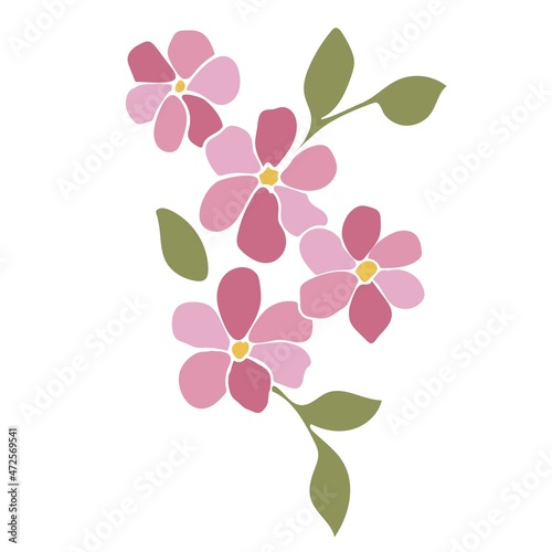 Vector illustration of blooming cherry