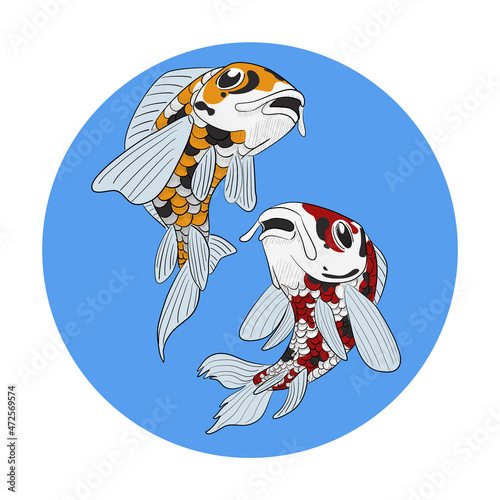 Koi fish illustration with blue circle background