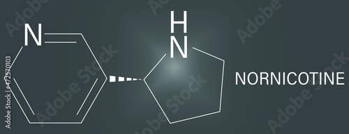 Nornicotine alkaloid molecule. Related to nicotine and also found in Nicotiana plants. Skeletal formula. photo