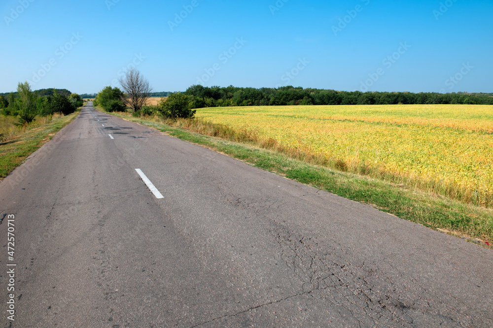 Automobile highway  passes next the field with crops on a summer sunny day