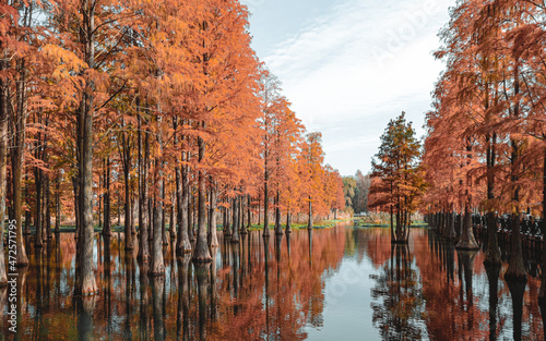 autumn in the city