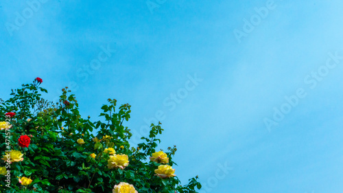 Wallpaper Mural 필름 카메라 감성의 서울(seoul in film camera) Torontodigital.ca