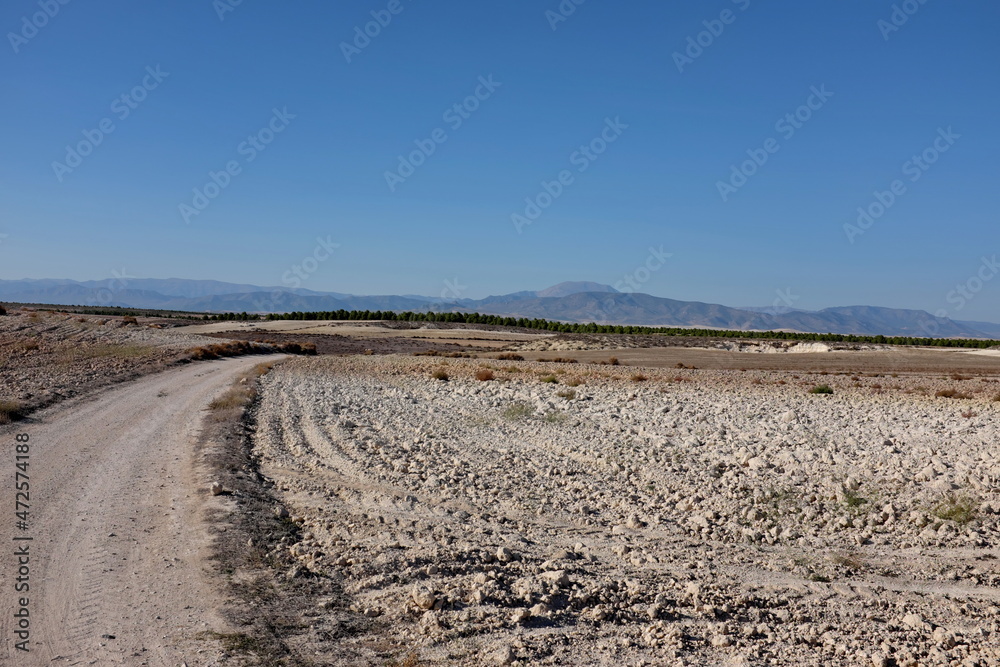 Chemin de terre au milieu des champs arides. Espagne. Andalousie. Chemin de terre au milieu des champs arides. Espagne. Andalousie.