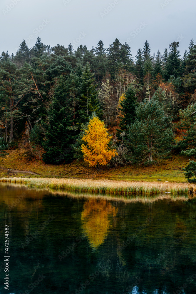 Obraz premium Bassa d'Oles lake with fog during autumn, located in the town of Vielha Mitg Aran, in the Pyrenees, in the Aran Valley, Catalonia.