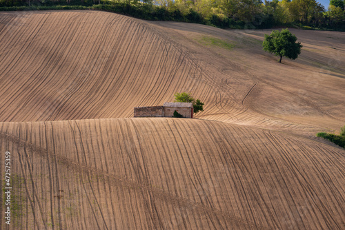Lone house among rural landscape with farm fields
