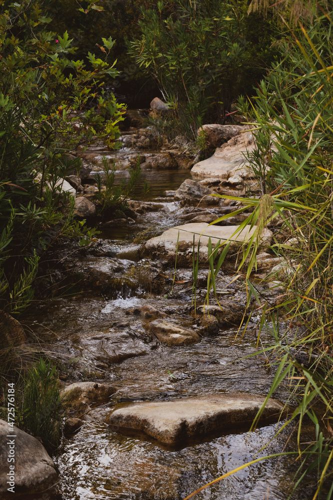 The river flows over the stones through the green thickets The river flows over the stones through the green thickets