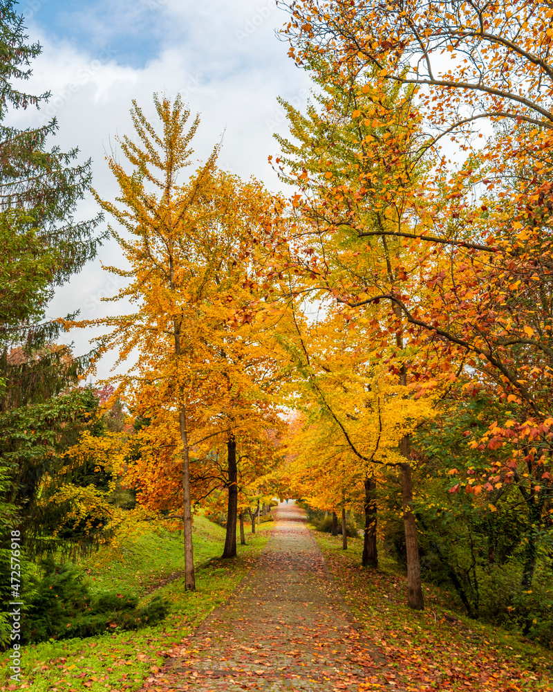 Fototapeta premium Ataturk Arboretum in Sariyer district of Istanbul