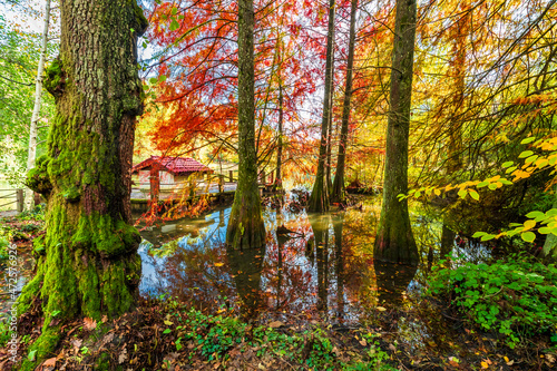Photography Ataturk Arboretum in Sariyer district of Istanbul