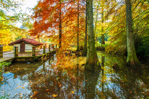 Ataturk Arboretum in Sariyer district of Istanbul © nejdetduzen