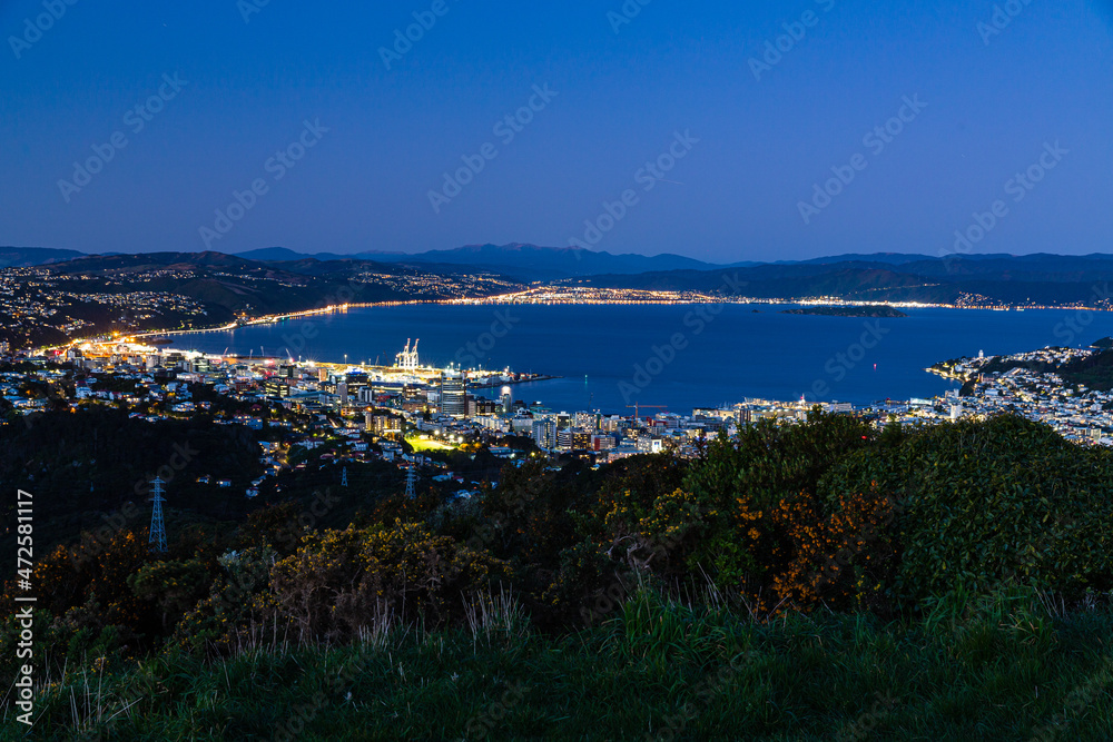 ニュージーランド　首都ウェリントンのブルックリン・アーミーバンカーの丘から見えるウェリントンの夜景
