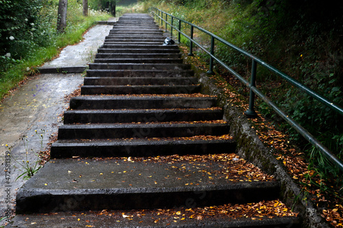 Fototapeta Naklejka Na Ścianę i Meble -  Stairs in the park