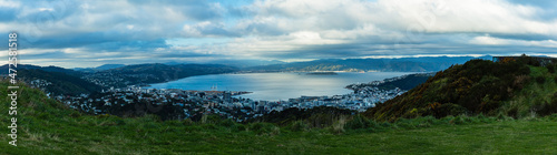 ニュージーランド 首都ウェリントンのブルックリン・アーミーバンカーの丘から見えるウェリントン港の風景