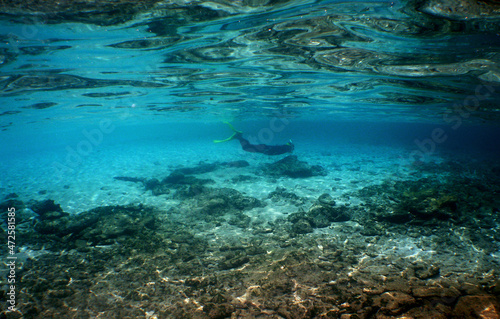 underwater scene   caribbean sea   scuba